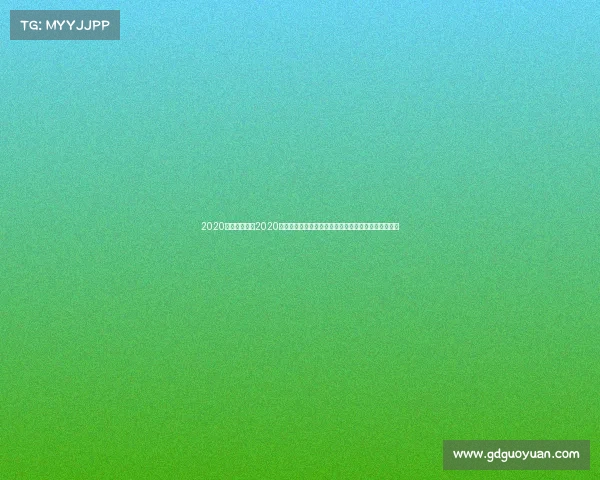 2020摩托车赛事—2020年度摩托车锦标赛全纪实速度激情巅峰对决与荣耀时刻 2020摩托车赛事—2020年度摩托车锦标赛全纪实速度激情巅峰对决与荣耀时刻