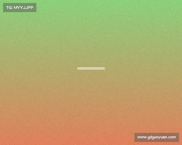 巴哈赛事历史回顾：激情越野的传奇征程