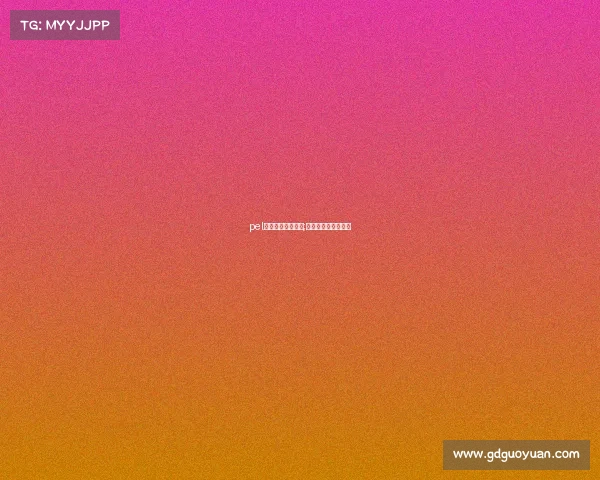 pel电子竞技职业精神;电子竞技精神的定义